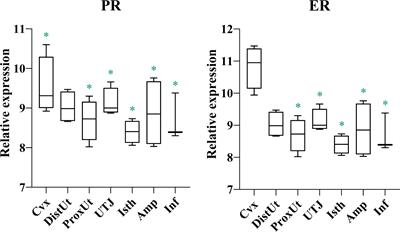 Mating modifies the expression of crucial oxidative-reductive transcripts in the pig oviductal sperm reservoir: is the female ensuring sperm survival?